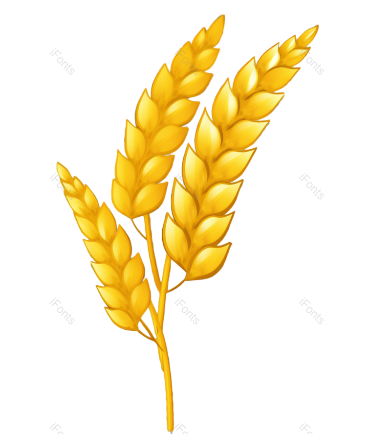 装饰图片,芒种元素,元素PNG,卡通免抠素材